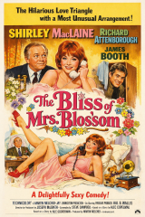 UM MARIDO DE RESERVA (1968) (Shirley MacLaine,Richard Attenborough,James Booth) (LEG)