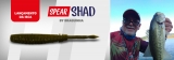 Spear Shad - Junebug