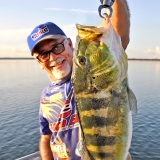 Strike Shad By Braguinha Cor Chartreuse Silver - 11cm