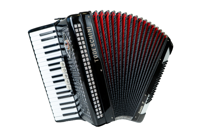 Acordeon Super 5 todeschini por R$10.920,00