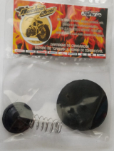 Reparo  Bomba De Combustvel Shadow 600 Vcuo