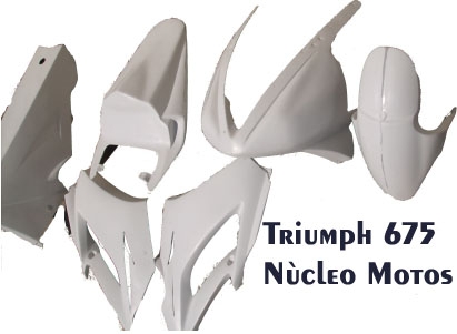 アート写真 Carenagem De Competição Triumph Daytona 675 2006/2