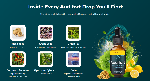  Audifort  ( Top Brain and Hearing )?cache=20260131220631