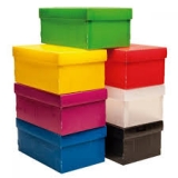 Caixa Organizadora Grande 43, x 31 x 24cm Polionda Verde Polibras - Pastas