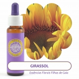 Girassol - Essncia Floral