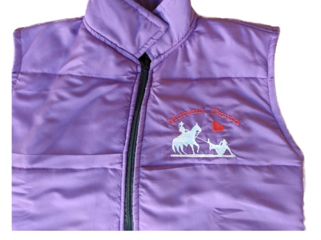 Camisa  Levis Rodeo 100% Bordado