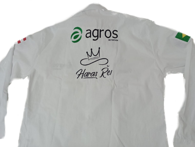 Camisa  Levis Rodeo 100% Bordado
