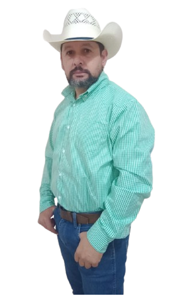 Camisa  Levis Rodeo 100% Bordado