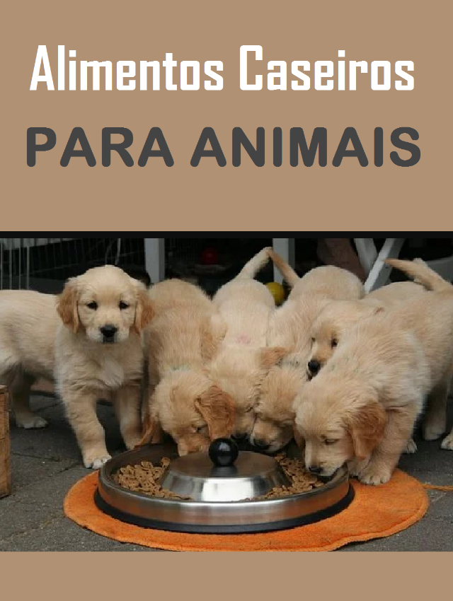 27 Dicas Exclusivas Para Perder Peso Rapidamente 