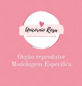 �rg�o reprodutor - Espec�fico 
