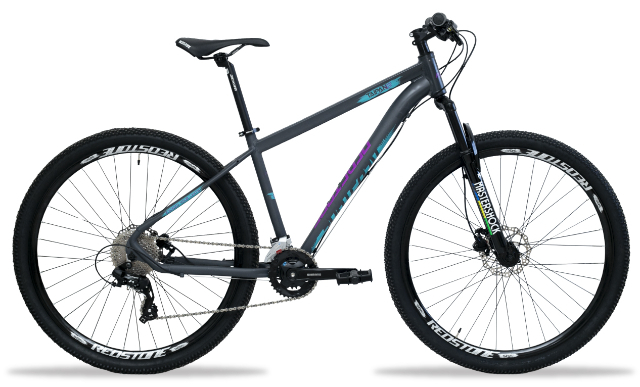 BIKE ARO 29 TAIPAN CINZA / VERDE / ROXO