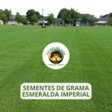 SEMENTES DE GRAMA ESMERALDA IMPERIAL 