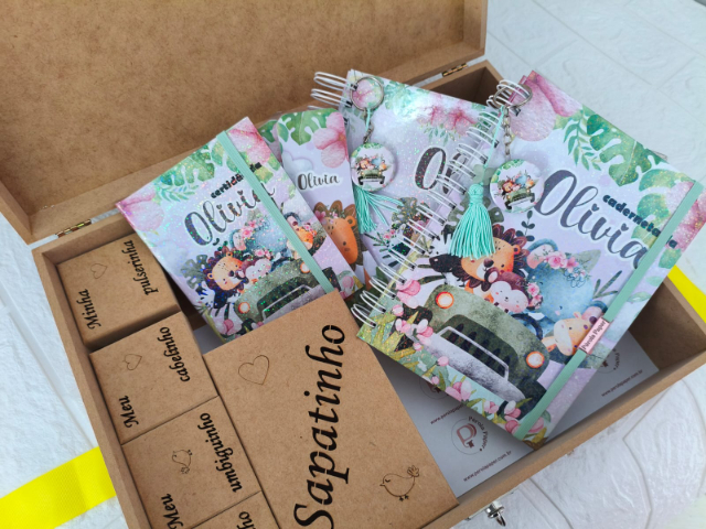 Kit Safari Menina Caixa - Cad. 1