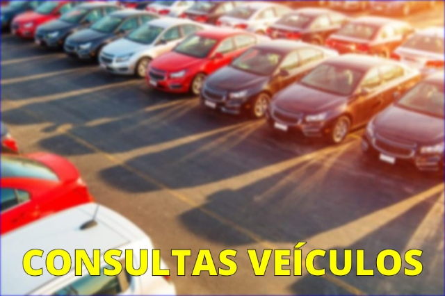 CONSULTA CARRO CHECKLIST 