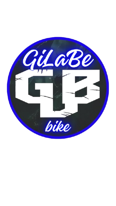 GiLaBe Inc 